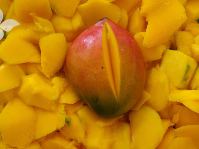 Euthalia Verzorging en Wellness Verse Mango